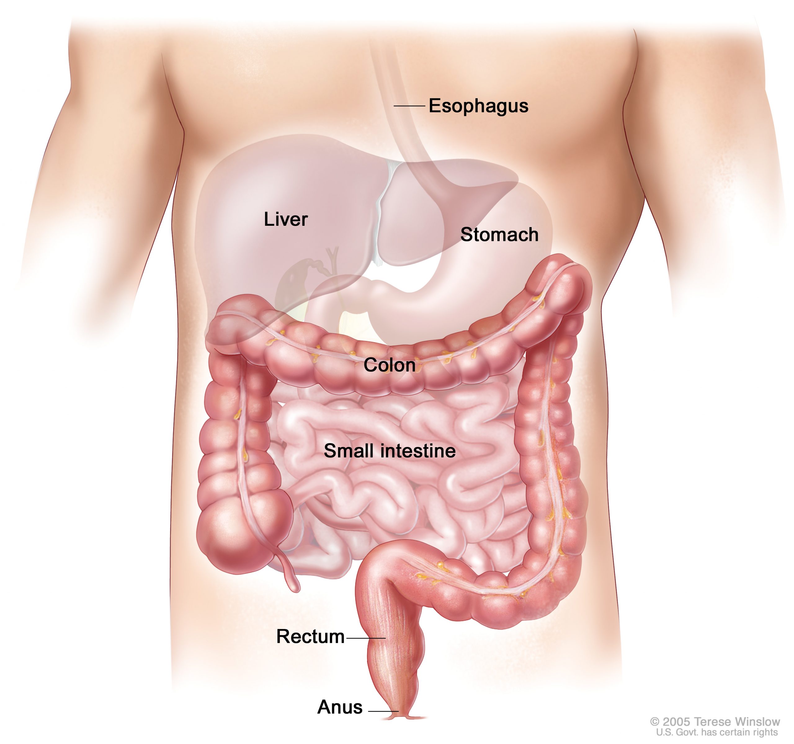 colorectal cancer nice